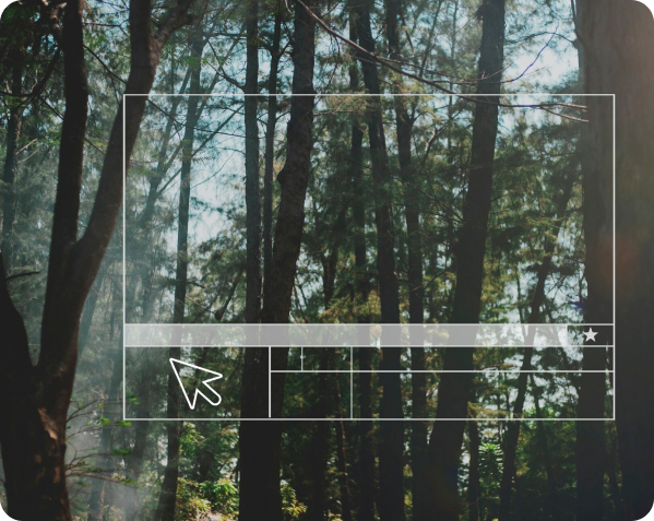 Web Design & Optimization